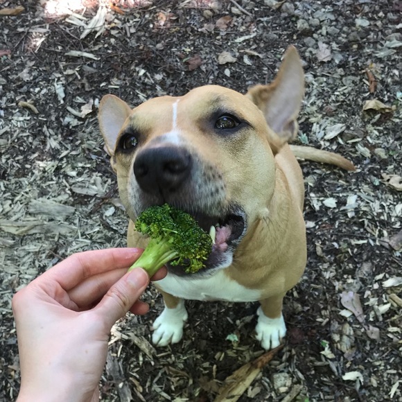 Meet your Posher, Myrna - Picture 8 of 8